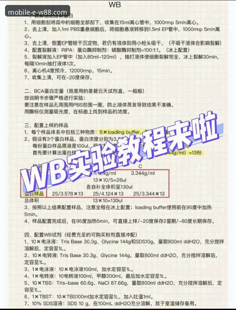W88手机版赛事分析专业操作教程：从入门到精通的数据解读指南